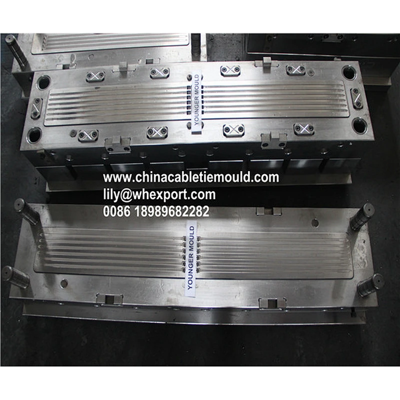 Nylon Cable tie mold factory
