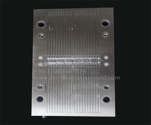 auto cable tie mold manufactory