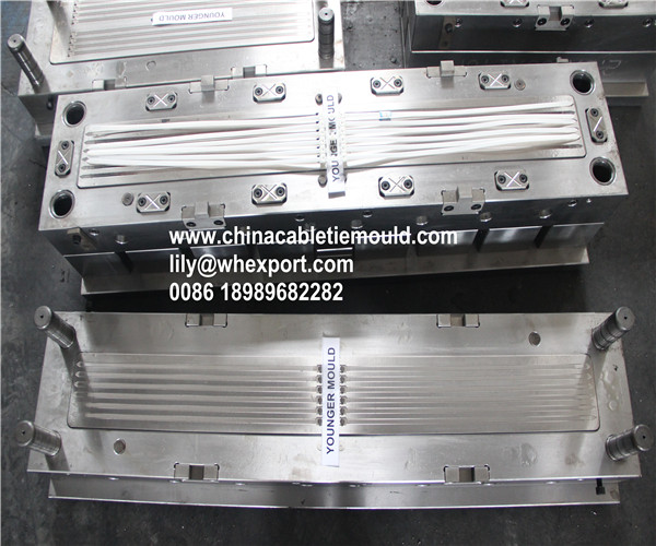 double head cable tie injection mould