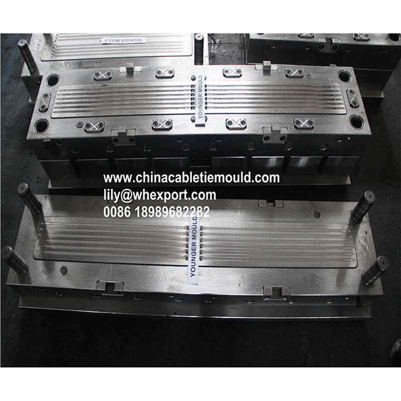Nylon Cable tie mold factory
