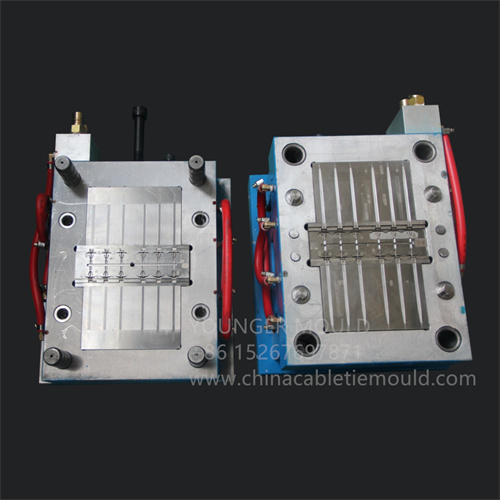 auto car cable tie mould 
