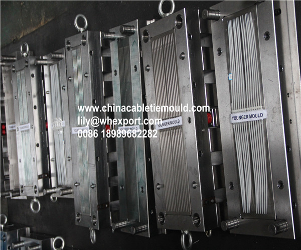 Cable tie mold