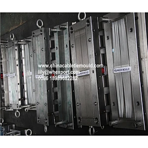 Cable tie mold