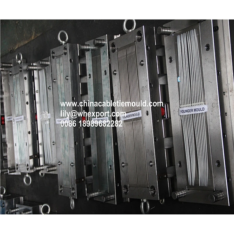 Nylon Cable tie mold factory