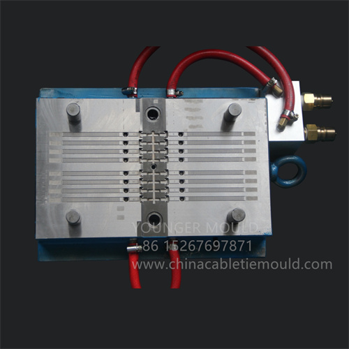 auto car cable tie mould 