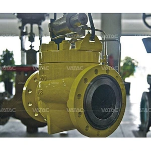 Globe Control Valve