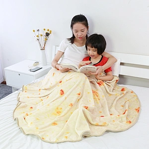 Promotion Airplane Personalized Soft Fleece Folding Travel Blanket Mexican chicken cake blanket