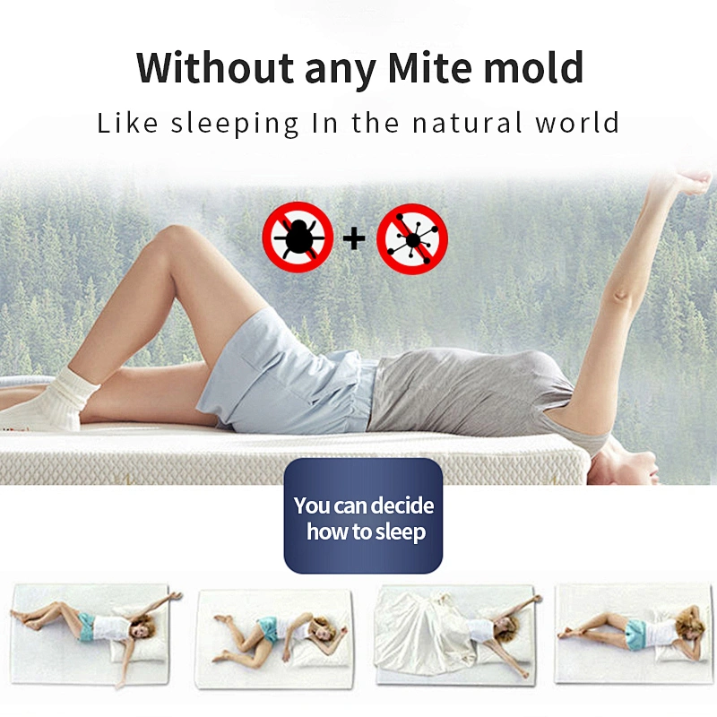 MSDS China factory produces high quality vacuum packed latex mattress in a box