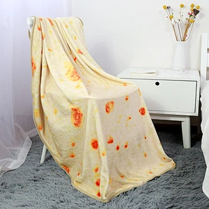 Promotion Airplane Personalized Soft Fleece Folding Travel Blanket Mexican chicken cake blanket