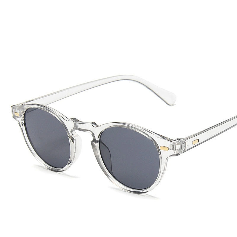 2021 newest fashion leopard small frame classic sunglasses women men eyewear shade vintage sun glasses wholesale custom goggle