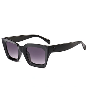 European and American ray brand Sunglasses high-end ladies sunglasses classic all-match retro shade sunglasses