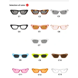2021 newest fashion cat eye small frame celebrity sunglasses women men eyewear shade sun glasses wholesale custom goggles