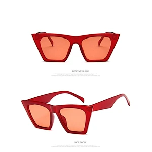 2021 newest fashion square cat eye classic sunglasses women men eyewear shade vintage sun glasses wholesale custom goggles