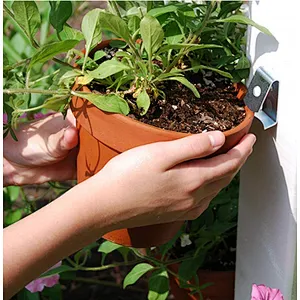 Wholesale metal hook , stainless steel  bracket holder for flower pot