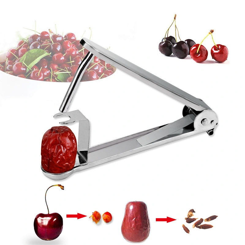 Hot Sale Handheld 430 Stainless Steel Fruit Cherry Date Corer Remove Pitter