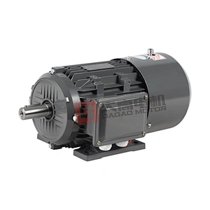 Yej2 Series Electromagnetic Brake Three- Phase Asynchronous Motor