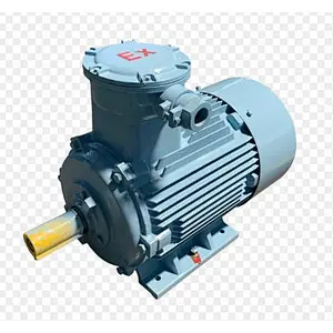 Series High Efficiency Explosion-Proof (dI. dIIBT4) Three Phase Induction Electric Motor
