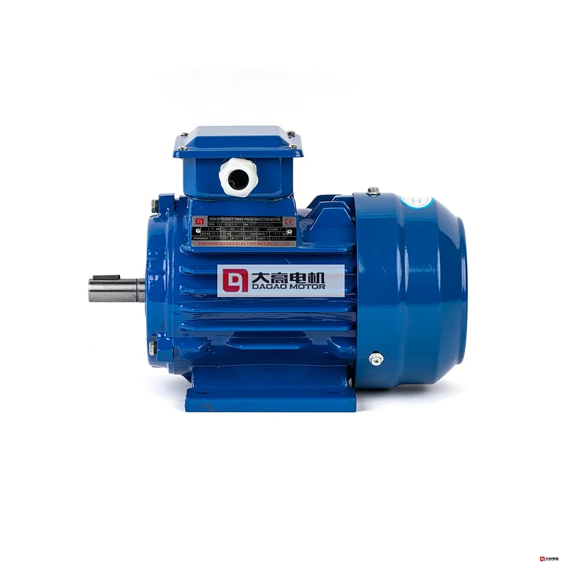 YE2 Series High Efficiency Three Phase Asynchronous Motor