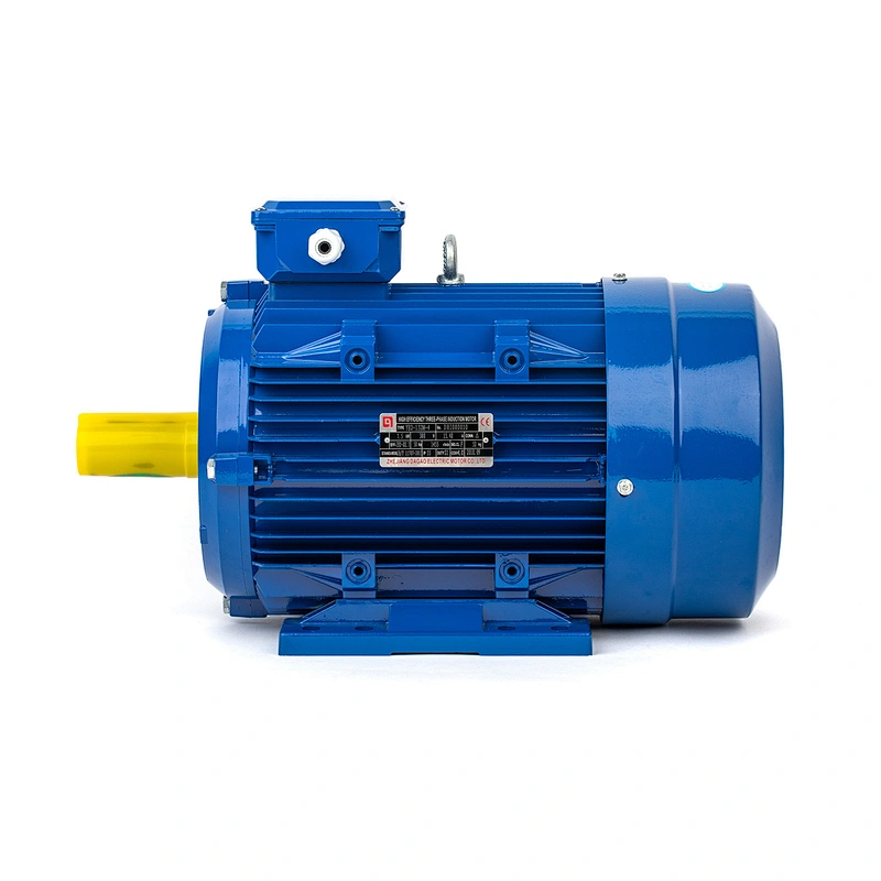 YE2 Series 3000r/min Used In Machine tool/Compressor/Pump/Fan industries High Efficiency Three Phase Asynchronous Motor