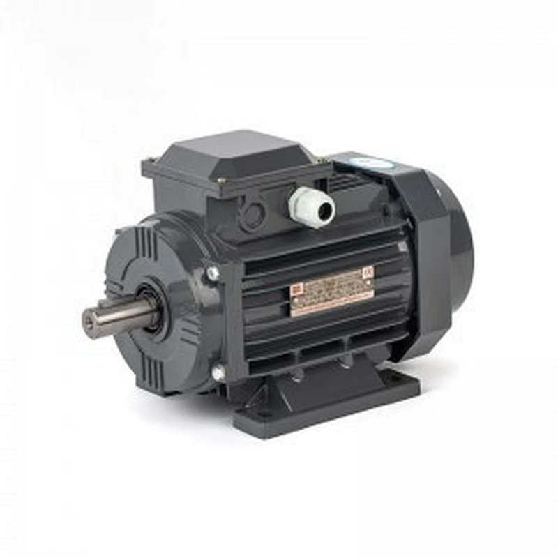 YE2 SERIES IE2 SUPER HIGH EFFICIENCY THREE PHASE INDUCTION MOTORS