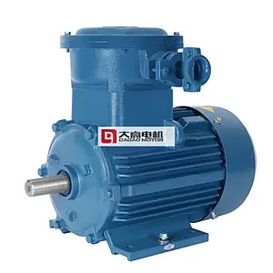 Series High Efficiency Explosion-Proof (dI. dIIBT4) Three Phase Induction Electric Motor
