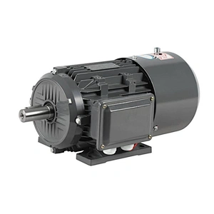 Yej2-180m-2 0.55~45kw Series 2940r/Min Electromagnetic Brake Three Phase Asynchronous Motor