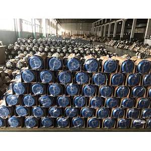 Yl Series 2900r/Min 3.7kw Tmax/Tn 1.7 50 (60Hz) Two-Value Capacitor Single-Phase Asynchronous Motor