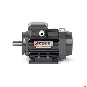 5.5HP/4KW YE2-112m-2 High Efficiency Three-Phase Asynchronous Electric Motor
