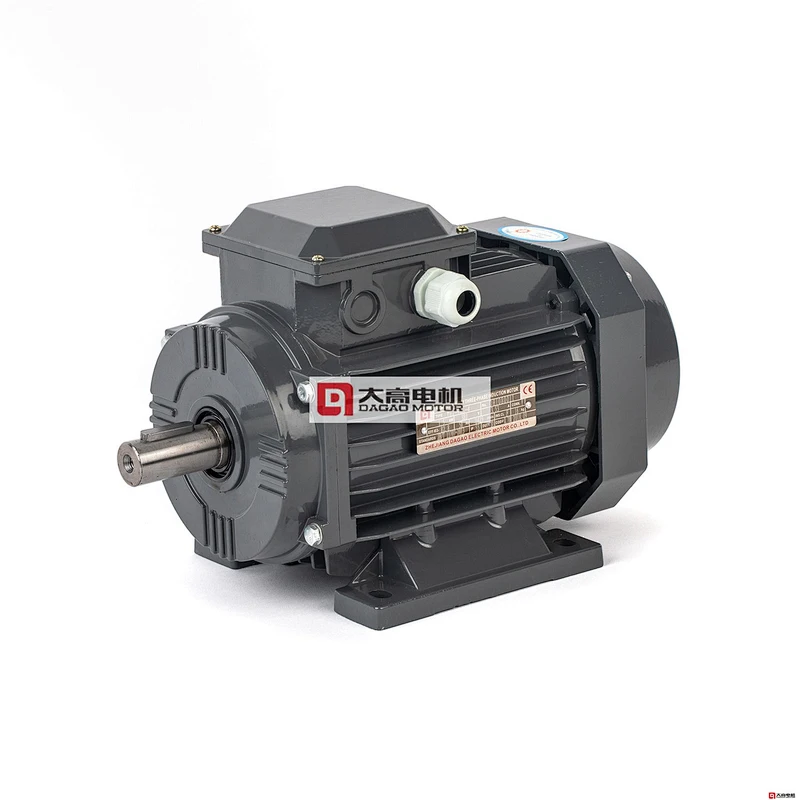 5.5HP/4KW YE2-112m-2 High Efficiency Three-Phase Asynchronous Electric Motor