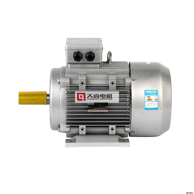 2HP/1.5KW YE2-90L-4 High Efficiency Three-Phase Asynchronous Electric Motor