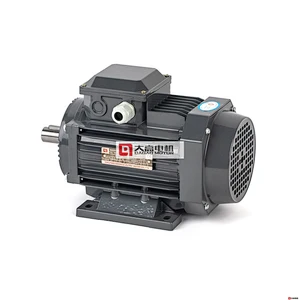 0.24HP/0.18KW YE2-63m2-4 High Efficiency Three-Phase Asynchronous Electric Motor