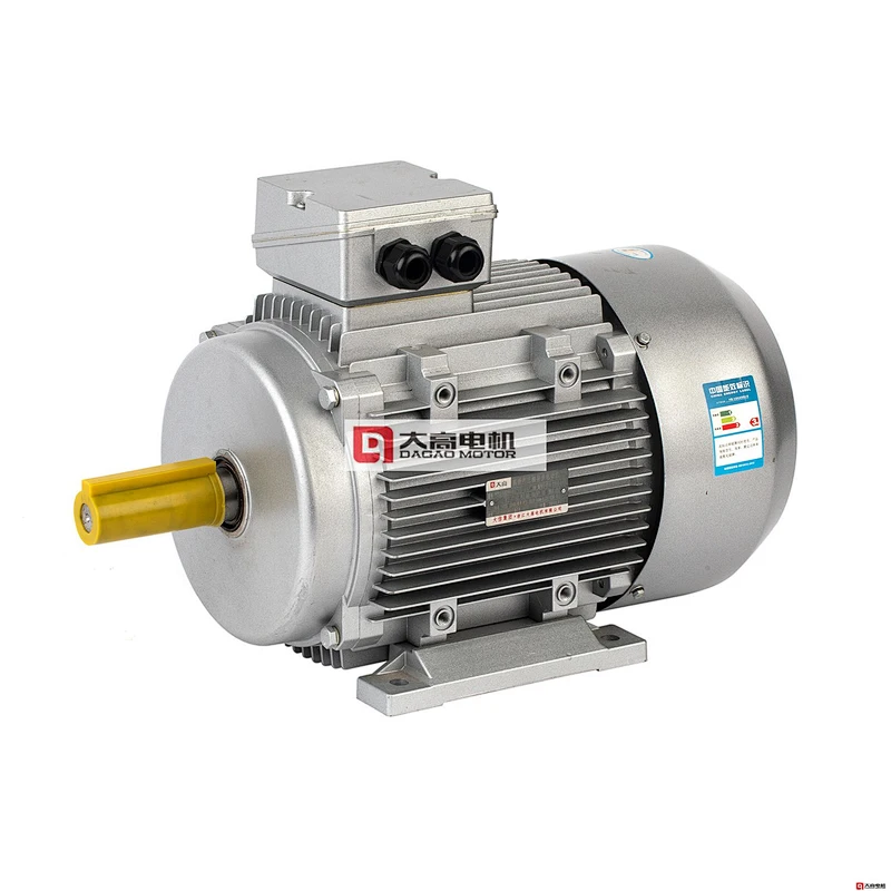 4HP/3KW YE3-100L-2 Ultra-High Efficiency Three-Phase Asynchronous Motor