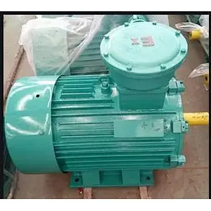 Series High Efficiency Explosion-Proof (dI. dIIBT4) Three Phase Induction Electric Motor