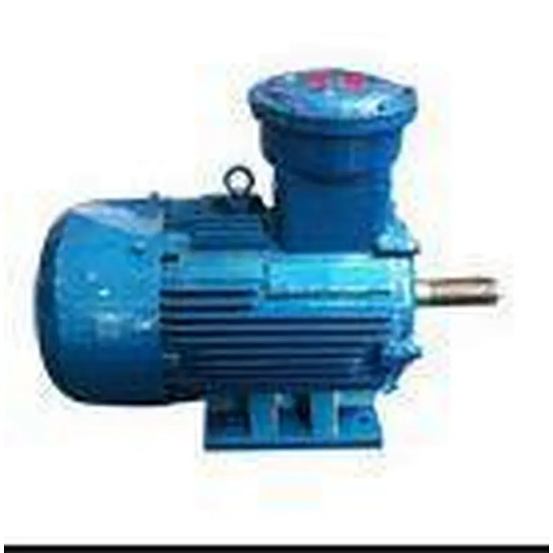 Series High Efficiency Explosion-Proof (dI. dIIBT4) Three Phase Induction Electric Motor