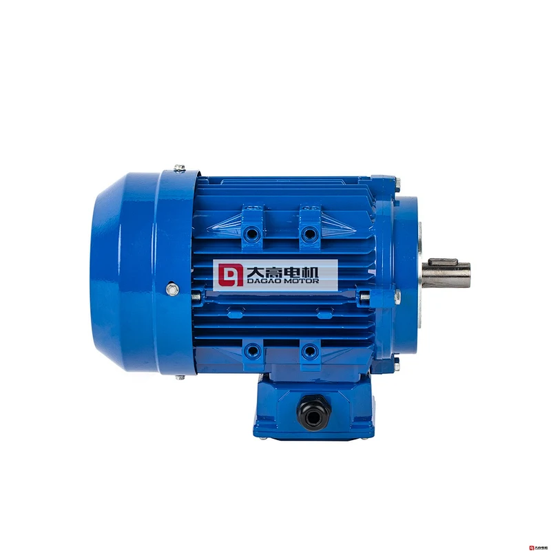 YE2 Series High Efficiency Three Phase Asynchronous Motor