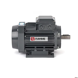 5.5HP/4KW YE2-112m-2 High Efficiency Three-Phase Asynchronous Electric Motor