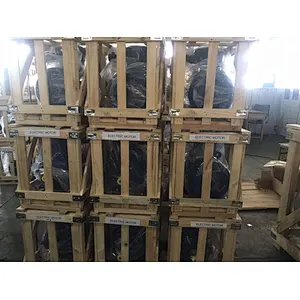 YE2 Series High Efficiency Three Phase Asynchronous Motor