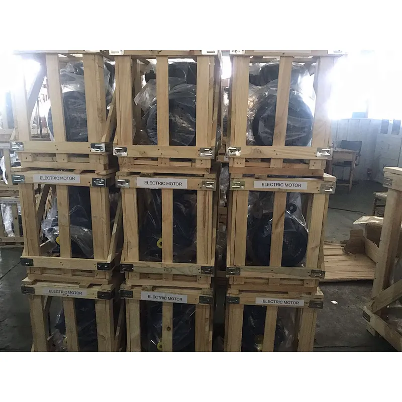 YE2 Series High Efficiency Three Phase Asynchronous Motor