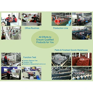 Ye2/Ye3 30kw Three-Phase Asynchronous Squirrel-Cage Cast Iron Induction Electric Motor