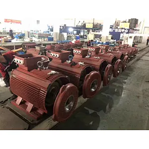 Cast iron and aluminum housing YE2 Series high efficiency three phase asynchronous motor