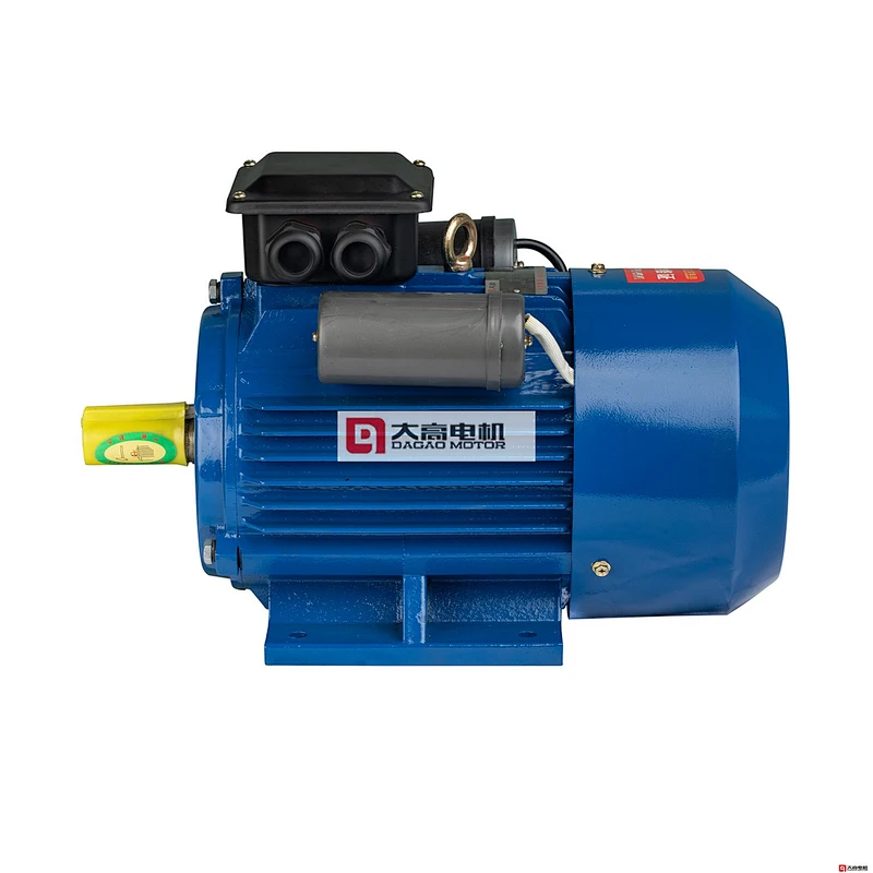 YL Series Double-Capacitor Single-Phase Asynchronous Motor