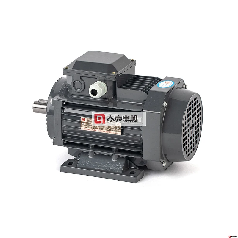 3HP/2.2KW YE2-112m-6 High Efficiency Three-Phase Asynchronous Electric Motor