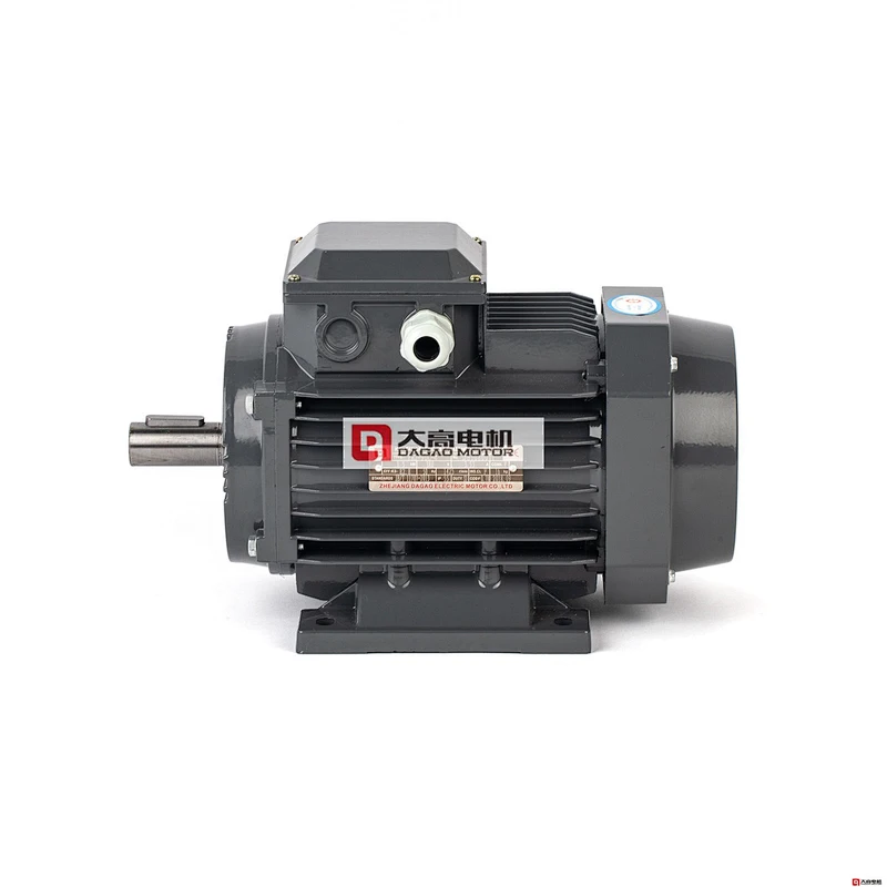 3HP/2.2KW YE2-112m-6 High Efficiency Three-Phase Asynchronous Electric Motor