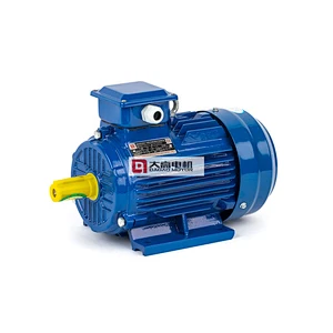 1HP/0.75KW YE2-100L1-8 High Efficiency Three-Phase Asynchronous Electric Motor