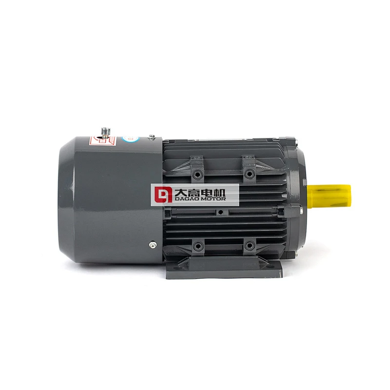 0.55HP/0.4KW Yej2-801-6 Electromagnetic Brake Three- Phase Asynchronous Motor