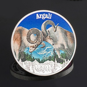 Factory Making Cheap High Quality Aircraft Coins Custom Airplane Collectors 3D Challenge Coin