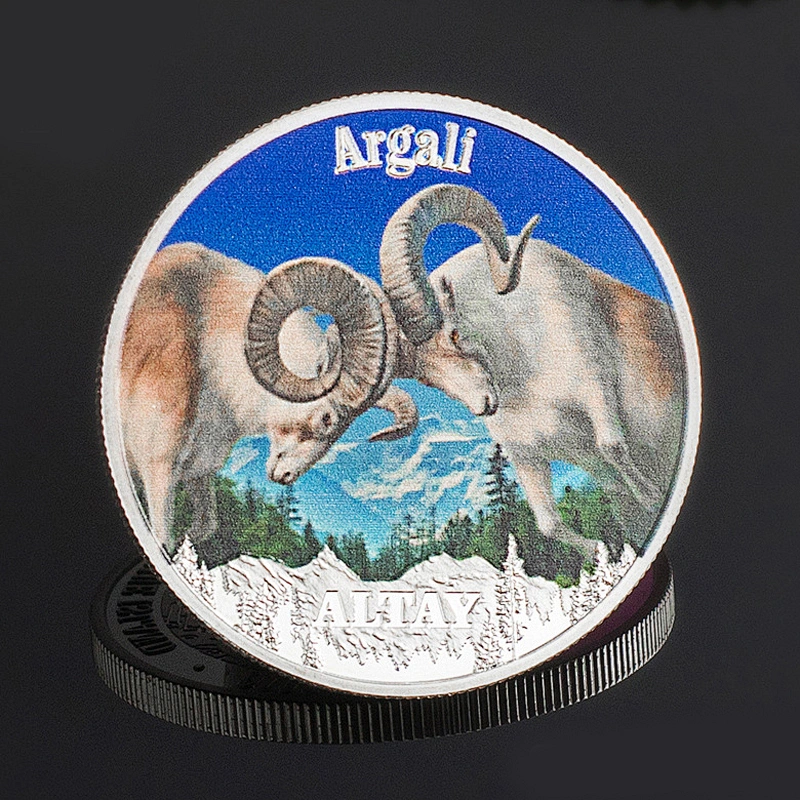 Factory Making Cheap High Quality Aircraft Coins Custom Airplane Collectors 3D Challenge Coin