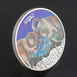 Factory Making Cheap Promotional High Quality Custom Logo Digital Print Silver Coin