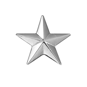 Gold and Silver Color Star Shaped Pin Badges
