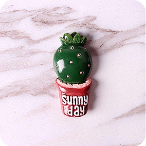 Custom 3D Cactus Resin Fridge Magnet For Home Decor